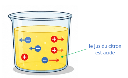 L'électrolyte dans la pile à citron
